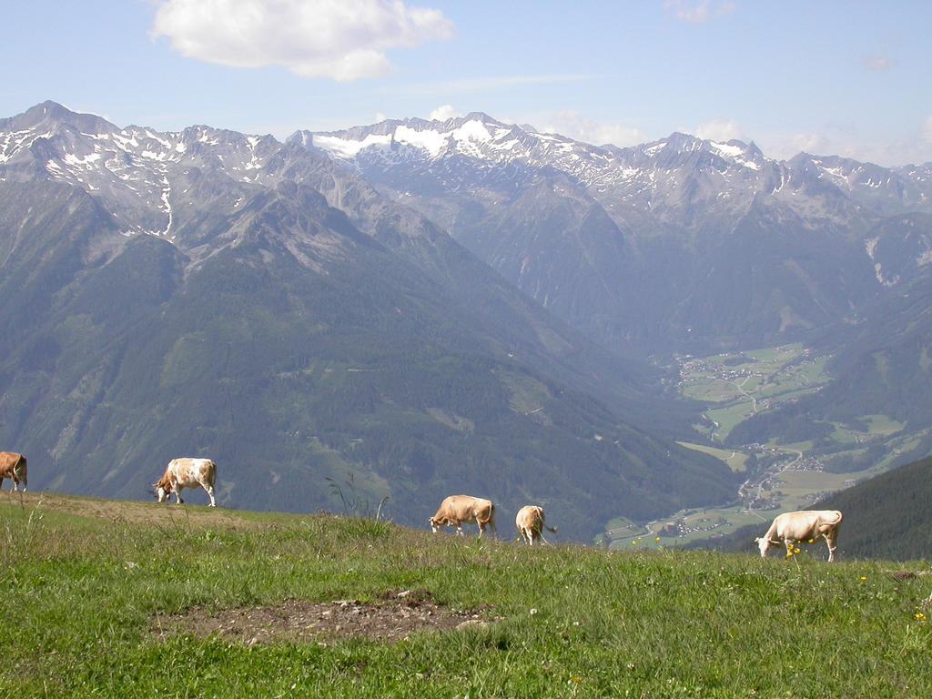 Pension Kristall Bramberg am Wildkogel Exteriör bild