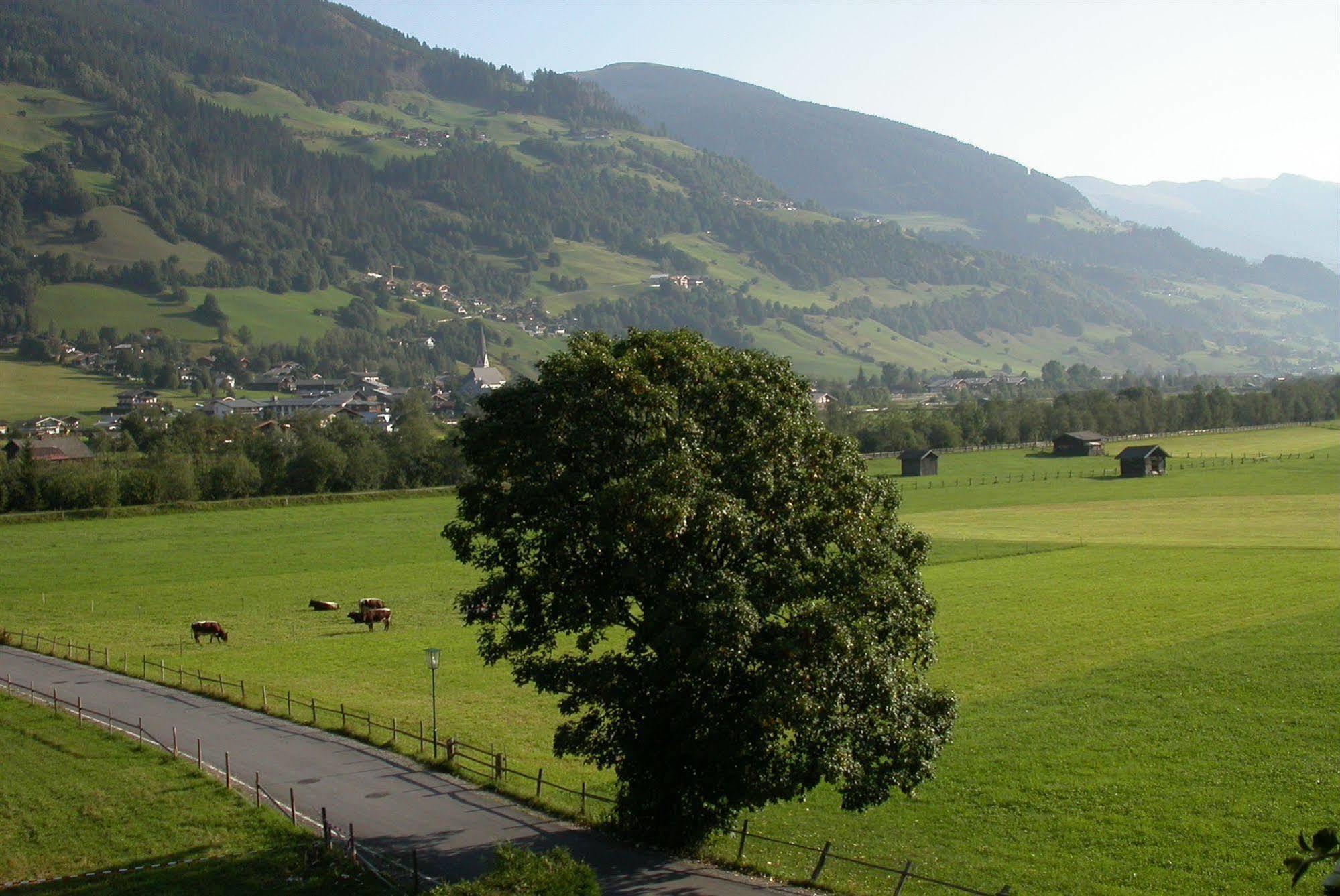 Pension Kristall Bramberg am Wildkogel Exteriör bild